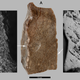 Illustration for article titled Remarkable Discovery Could Push Back Human Agriculture by 11,000 Years